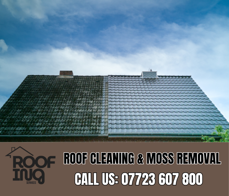 Roof Cleaning in Exmouth