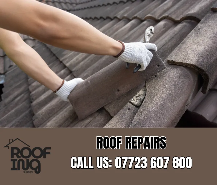 Professional roof repair services in Exmouth